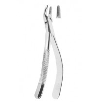 Extracting Forceps American pattern