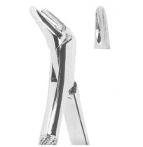 Extracting Forceps American pattern