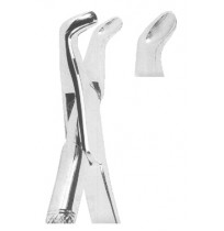 Extracting Forceps American pattern