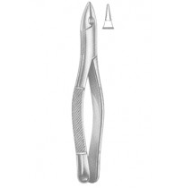 Extracting Forceps American pattern