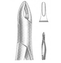 Extracting Forceps American pattern