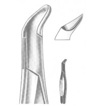 Extracting Forceps American pattern