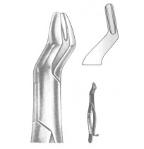 Extracting Forceps American pattern