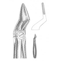 Extracting Forceps English pattern