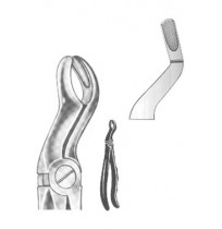 Relax Extracting Forceps