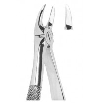 Extracting Forceps English pattern