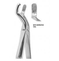 Extracting Forceps English pattern