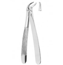 Extracting Forceps English pattern