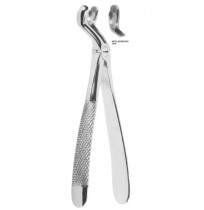 Extracting Forceps English pattern