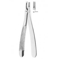 Extracting Forceps English pattern