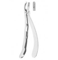 Extracting Forceps With Anatomically Shaped Handle