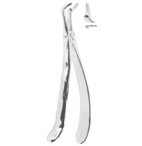 Extracting Forceps With Anatomically Shaped Handle