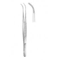 Dental Tweezers