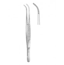 Dental Tweezers