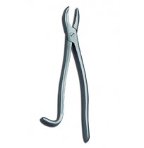Wolftooth Extractor Forceps