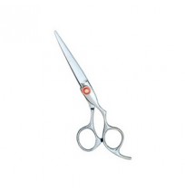 Hair cutting Scissors