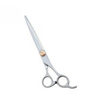 Hair cutting Scissors